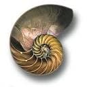 48 Windows Santa Monica logo