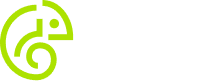 Pingle Studio logo