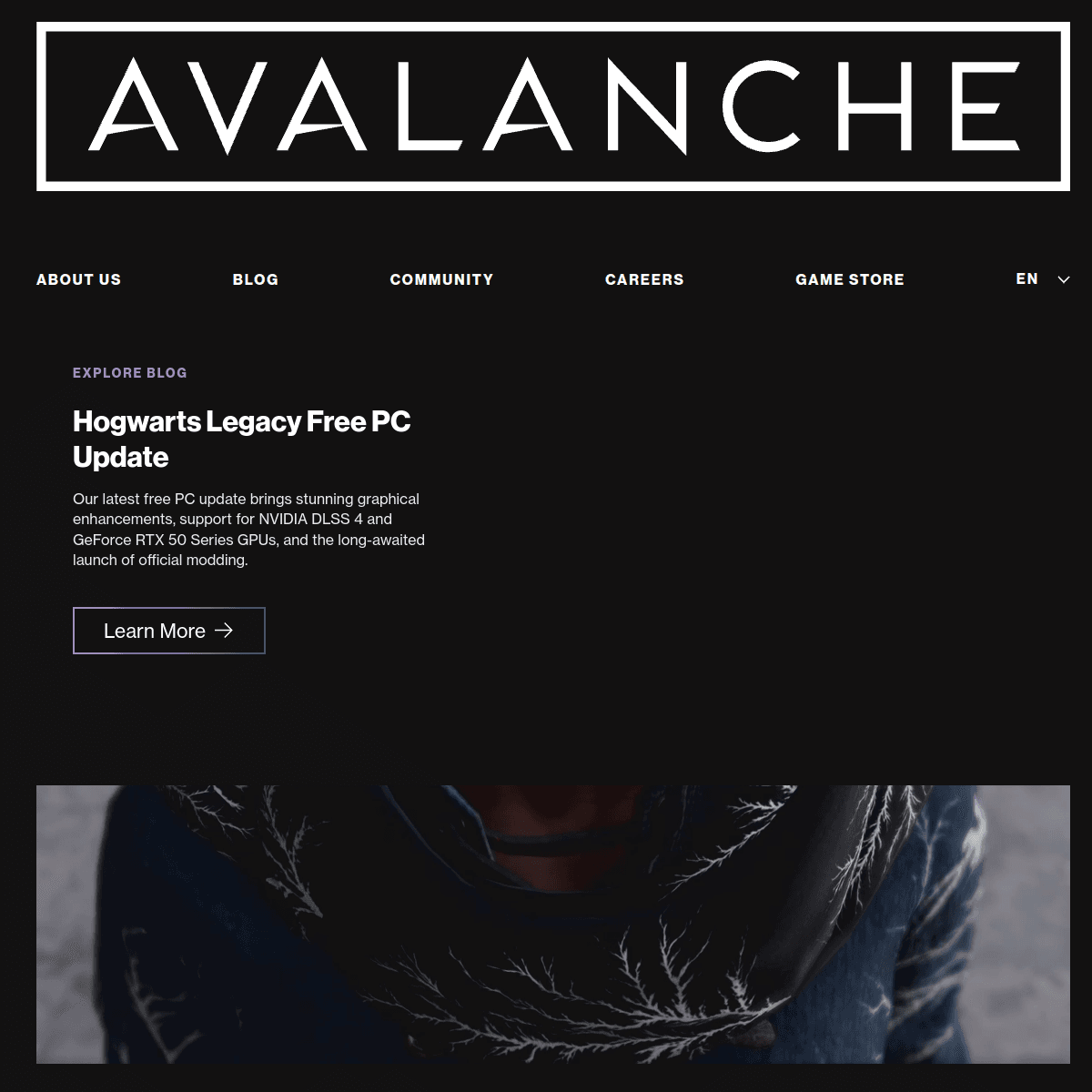 Avalanche Software portfolio image 1