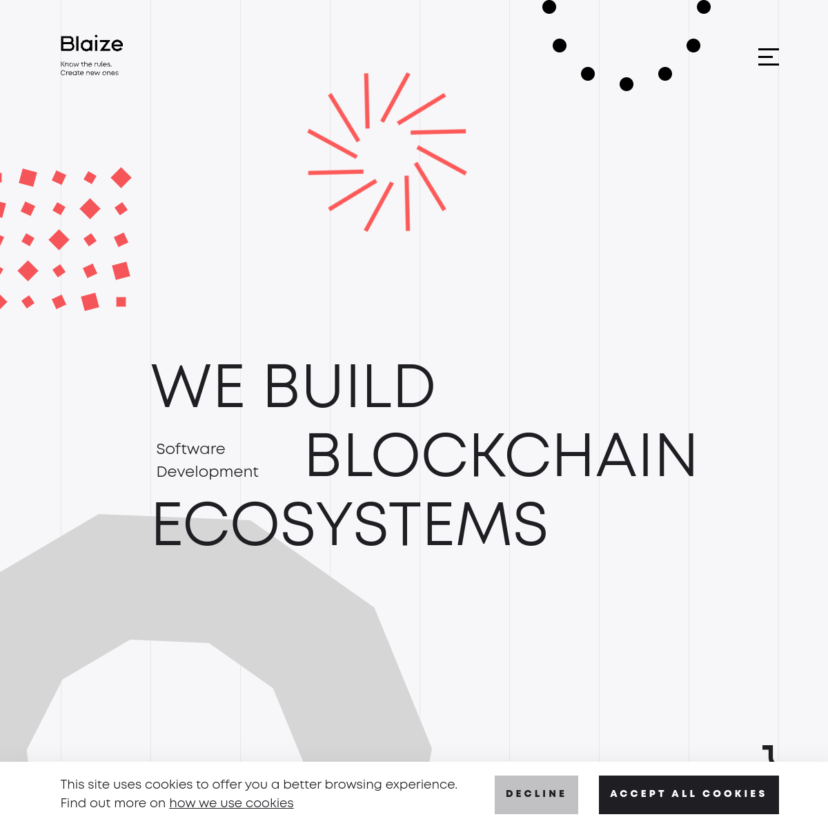 Blaize portfolio image 1