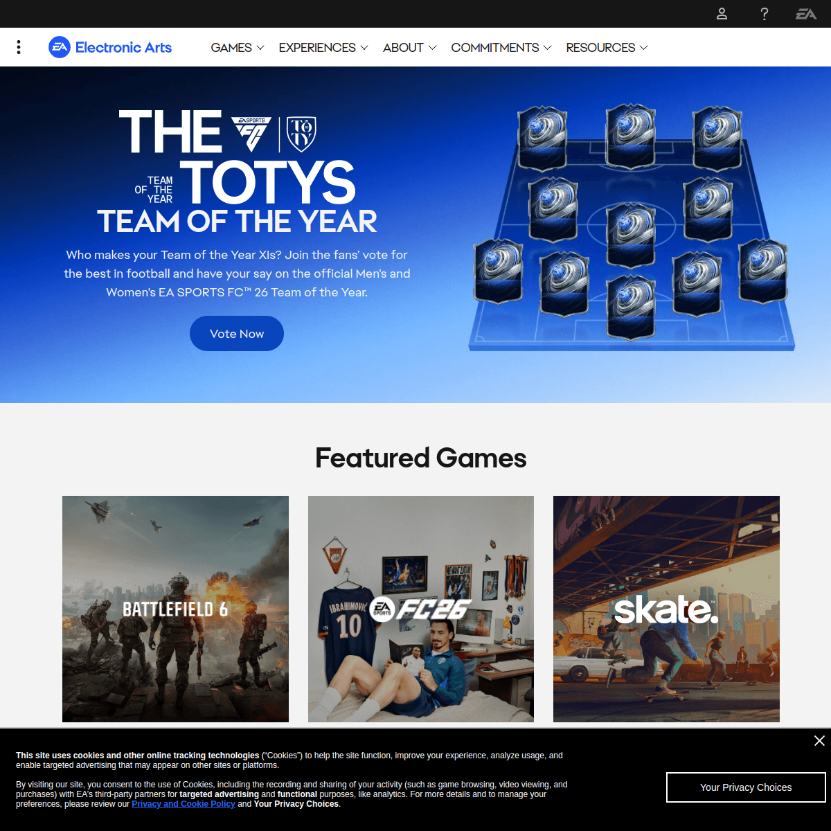 Electronic Arts portfolio image 1