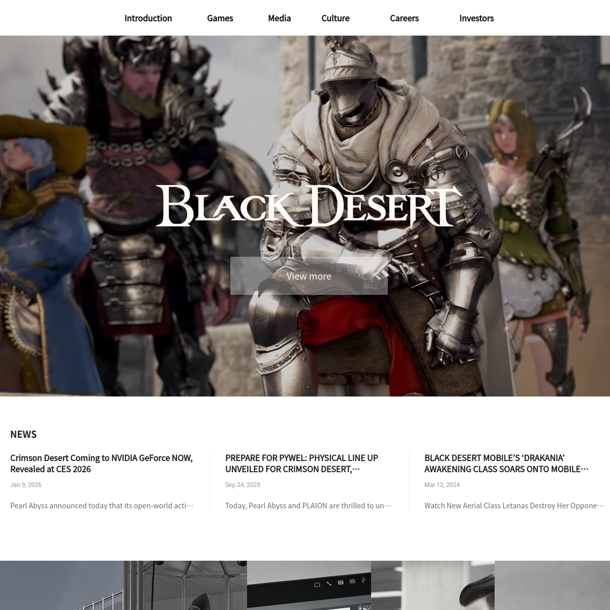 Pearl Abyss portfolio image 1