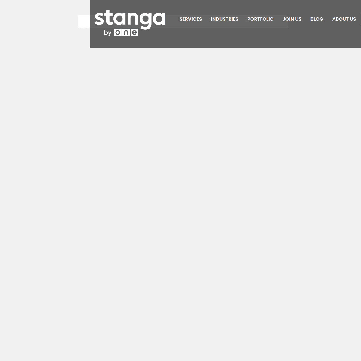 Stanga portfolio image 1