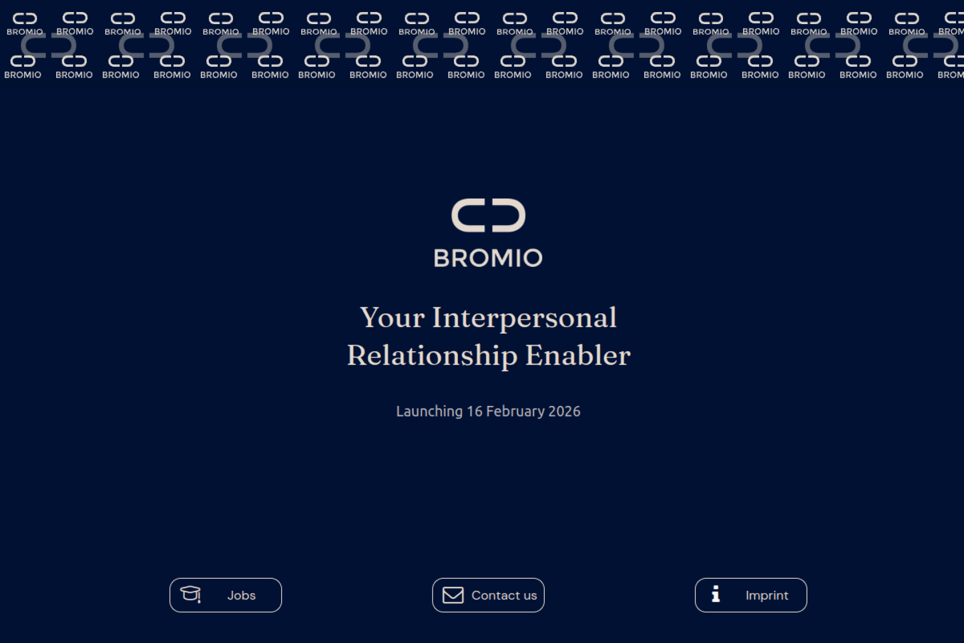 Bromio portfolio image 2