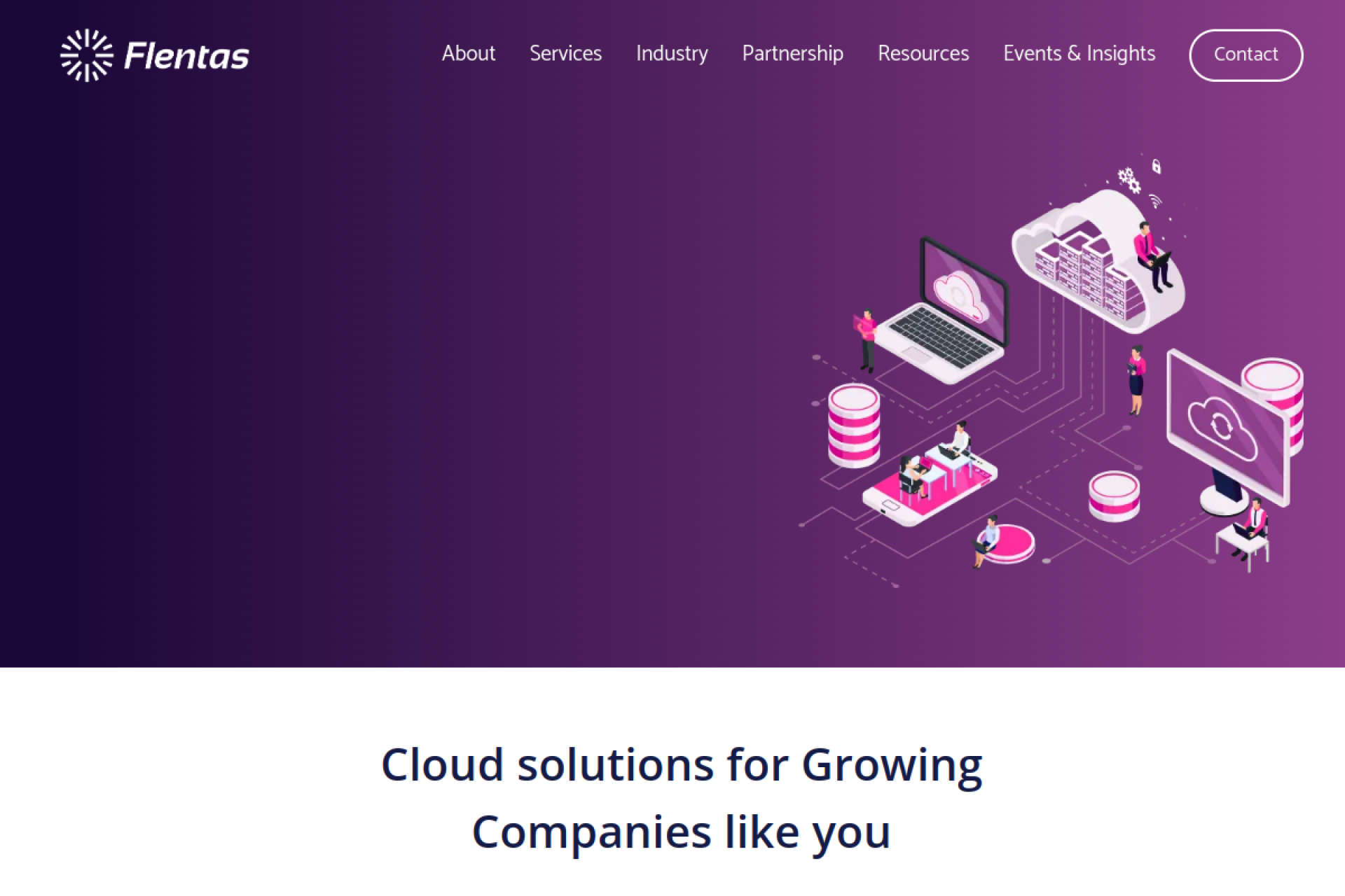 Flentas portfolio image 2