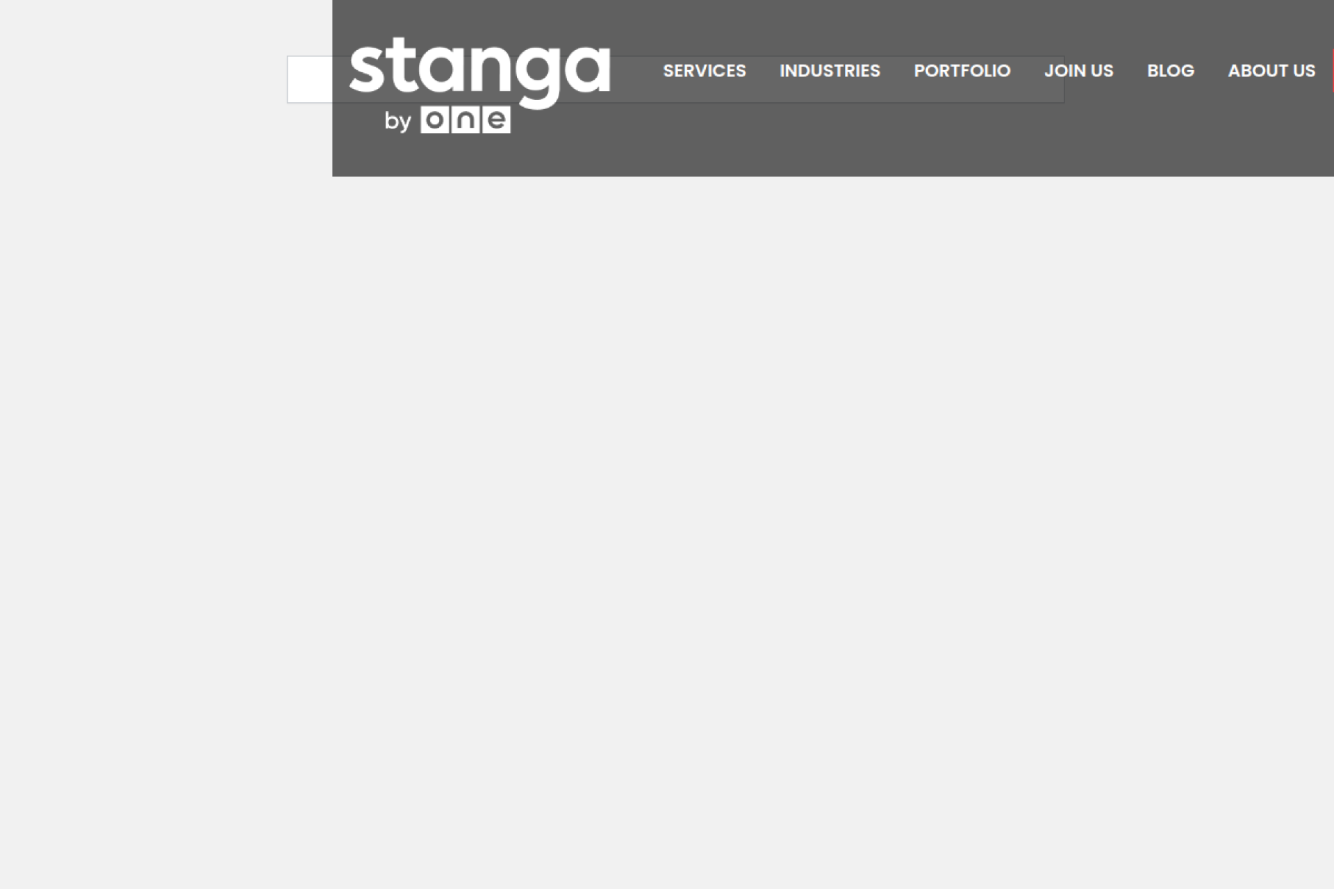 Stanga portfolio image 2