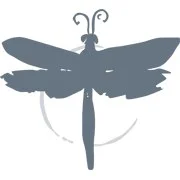 DragonFly Studio logo