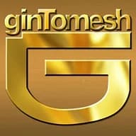 Gintomesh Studio logo