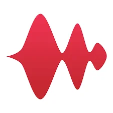 Mad Wave Audio logo
