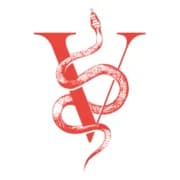Vicious Sound logo
