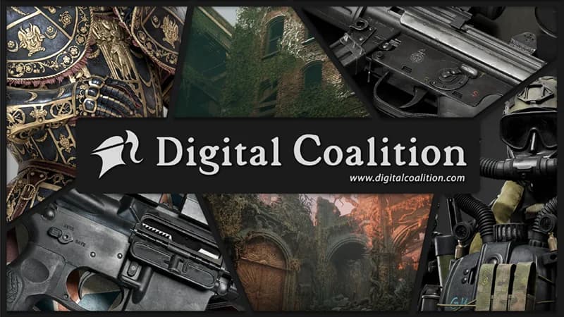 Digital Coalition cover